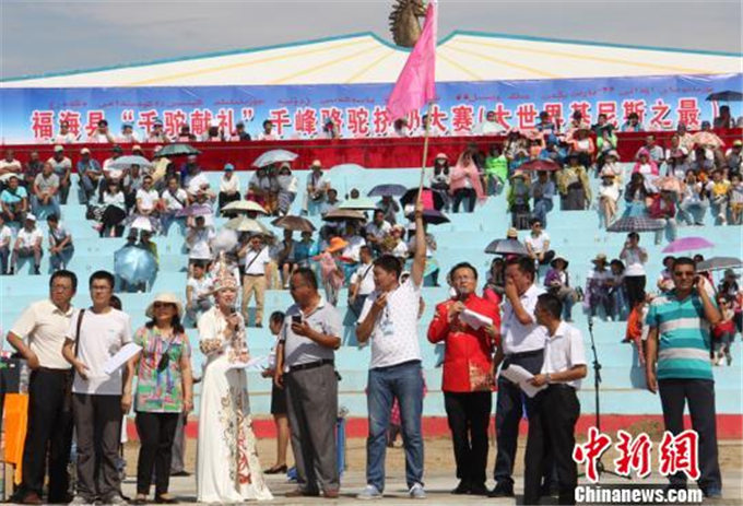 中新社丨新疆福海“千峰骆驼挤奶大赛”创大世界基尼斯纪录