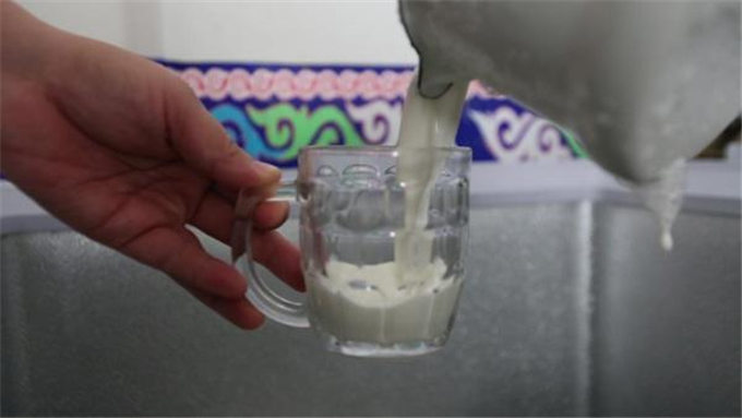 从交通工具到浑身是宝 新疆骆驼走上产业发展之路