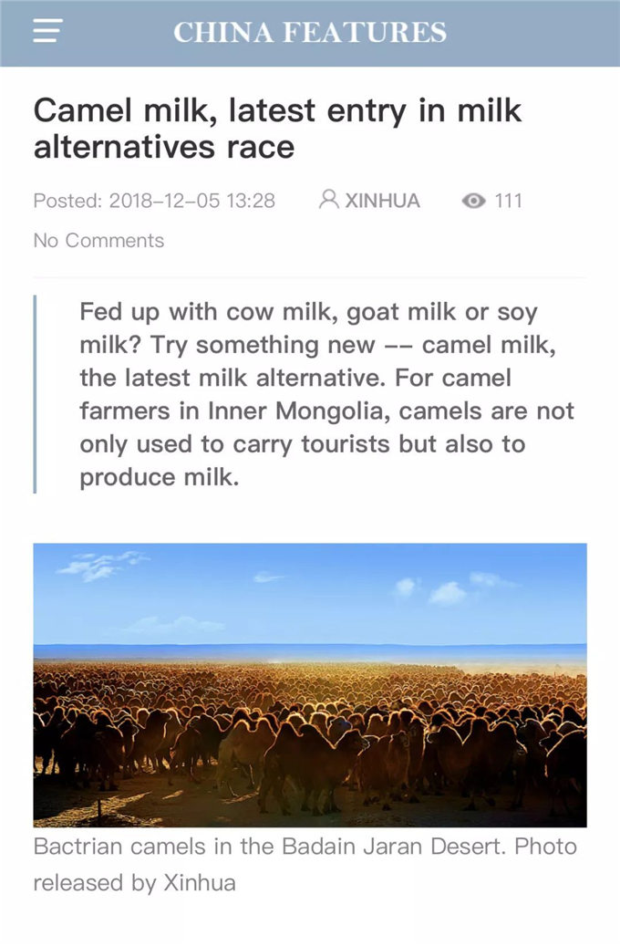 【特稿】新华社英文客户端：骆驼奶，奶业市场的新秀