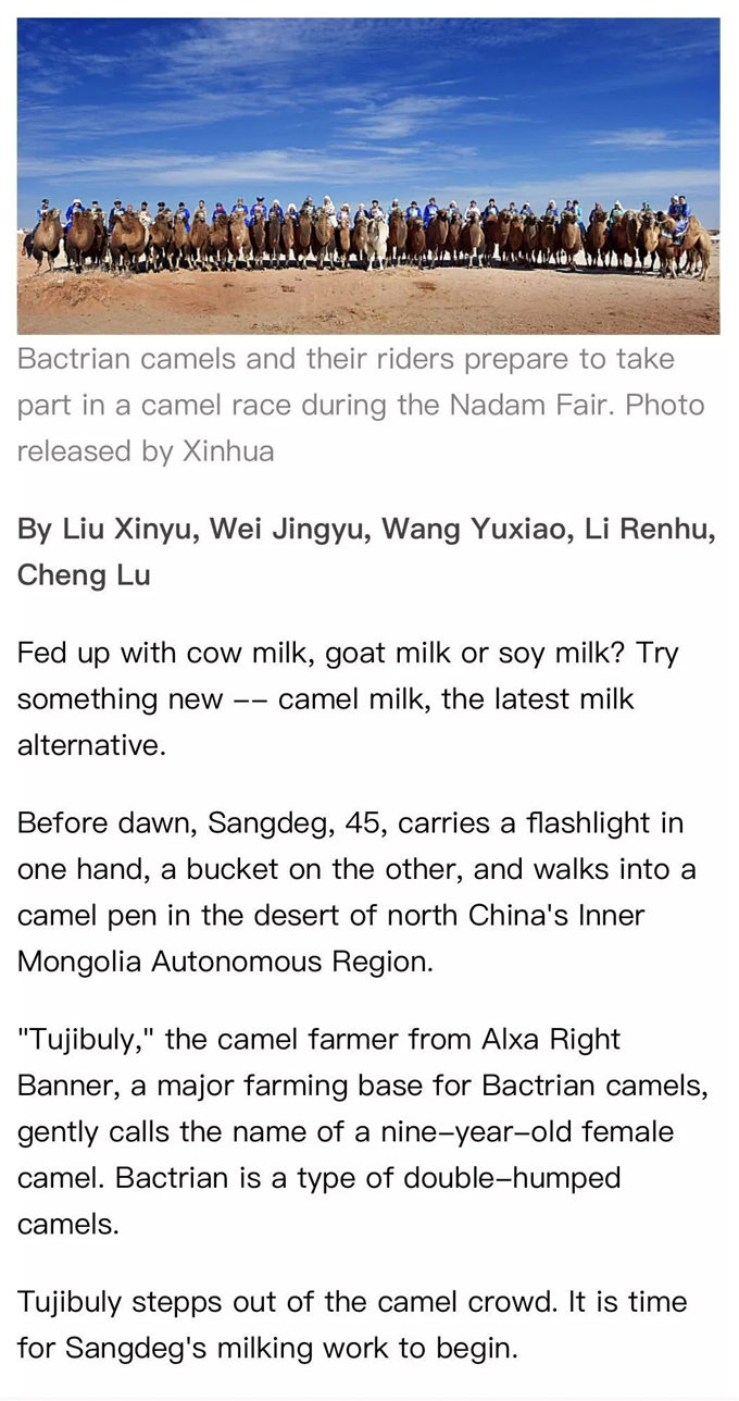 【特稿】新华社英文客户端：骆驼奶，奶业市场的新秀