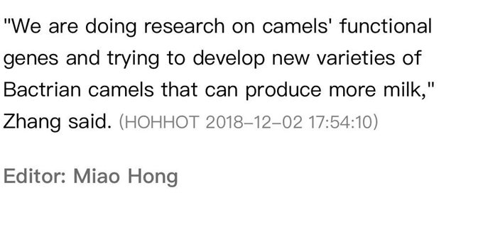 【特稿】新华社英文客户端：骆驼奶，奶业市场的新秀
