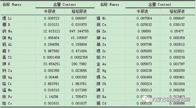 骆驼尿还有这么大的用处,你肯定想不到
