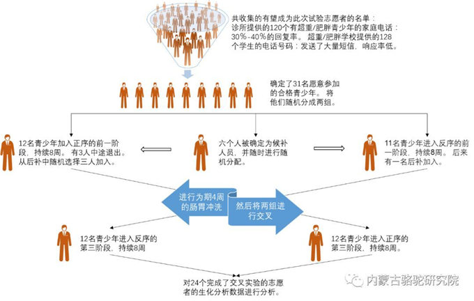 发酵骆驼奶对代谢综合征青少年的影响:一项双盲临床试验