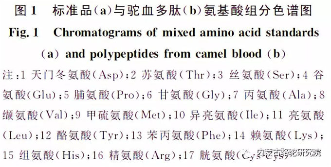 驼血多肽的氨基酸含量分析