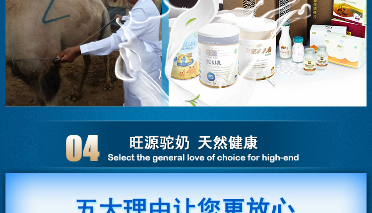 旺源益生菌驼奶片 80片/瓶 1克/片