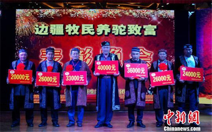 中国新闻网丨新疆牧民聚福海采“养驼经” 增“造血”能力