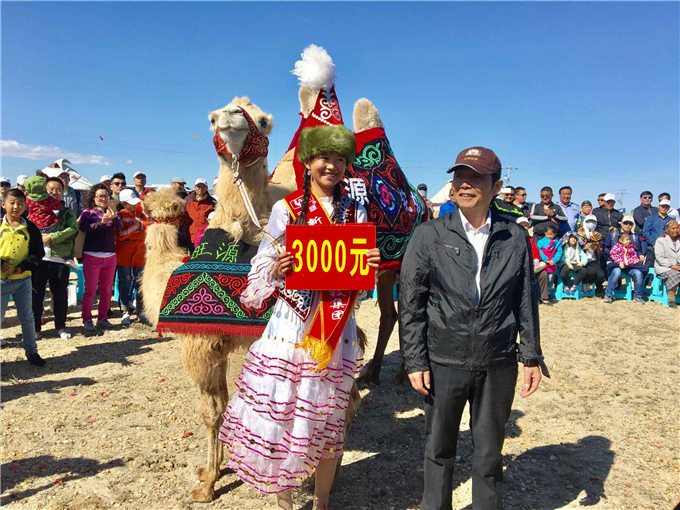 亚心网丨新疆福海县举行首届骆驼“选美”大赛