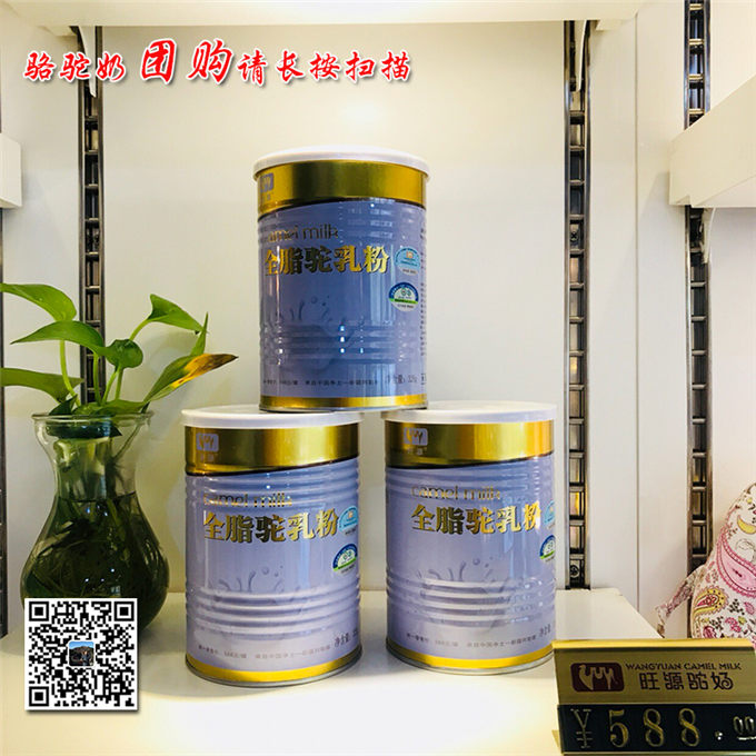 带您走近神奇的骆驼