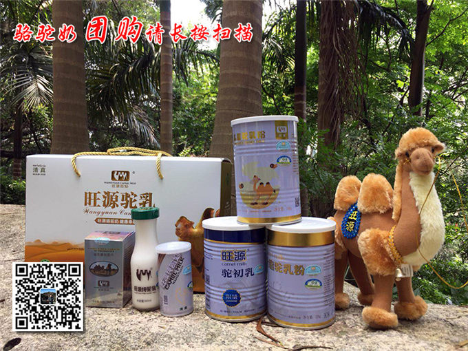 上天的恩赐——神奇的骆驼奶