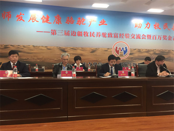 天山网丨福海县推进骆驼产业发展 助力牧民共享美好生活