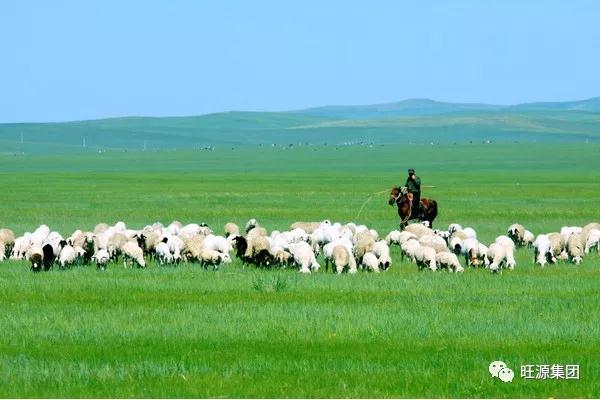 骆驼奶到底为什么这么珍贵？