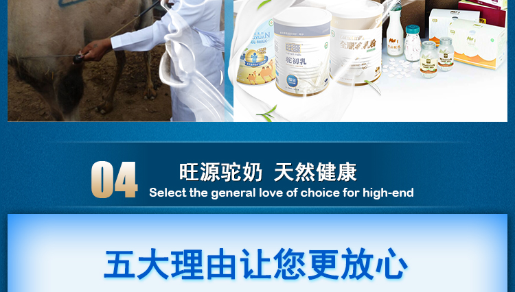 旺源骆驼奶液态奶 易拉罐装 180ml*12罐