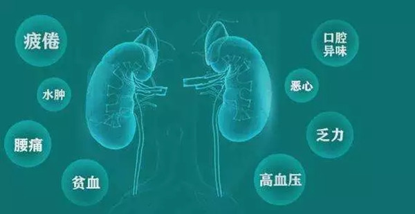 “肾功能衰竭”、“尿毒症”与糖尿病有什么关系？