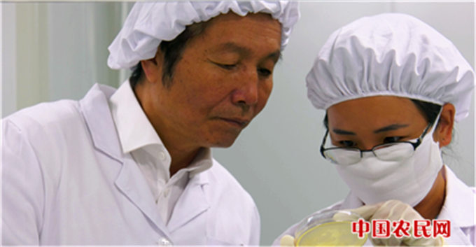 中国农民网丨福海县:陈钢粮--积极创建骆驼产业精准扶贫模式 铸就边疆贫困牧民脱贫致富梦想