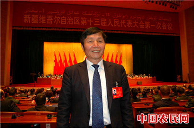 中国农民网丨福海县:陈钢粮--积极创建骆驼产业精准扶贫模式 铸就边疆贫困牧民脱贫致富梦想