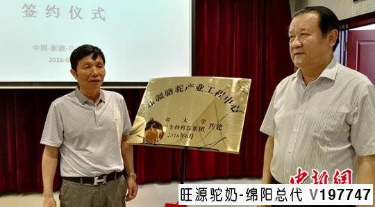 “新疆骆驼产业工程中心”挂牌新疆大学 扩展驼乳生物制药领域