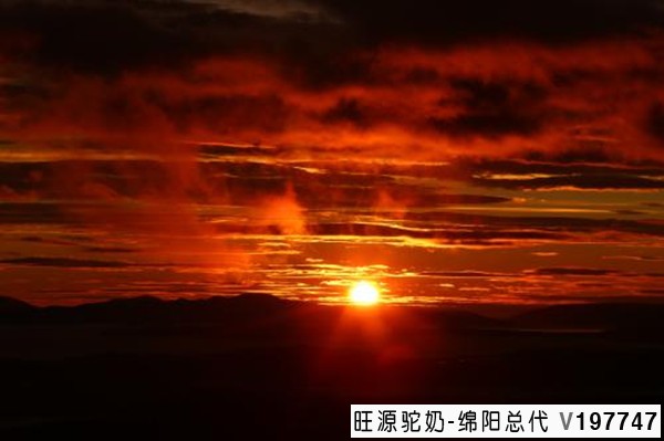 现在中医大家刘力红:推拿按摩是可以手到病除的