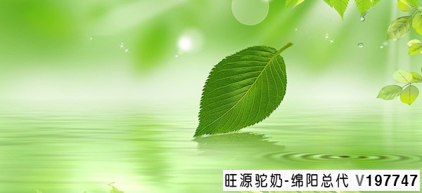 现在中医大家刘力红:推拿按摩是可以手到病除的