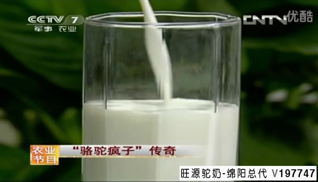 吉林花甲老人打飞的到新疆福海喝“旺源骆驼奶”的故事