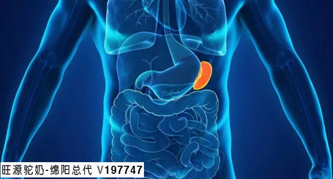 中医的脾是什么?38条了解中医的脏腑