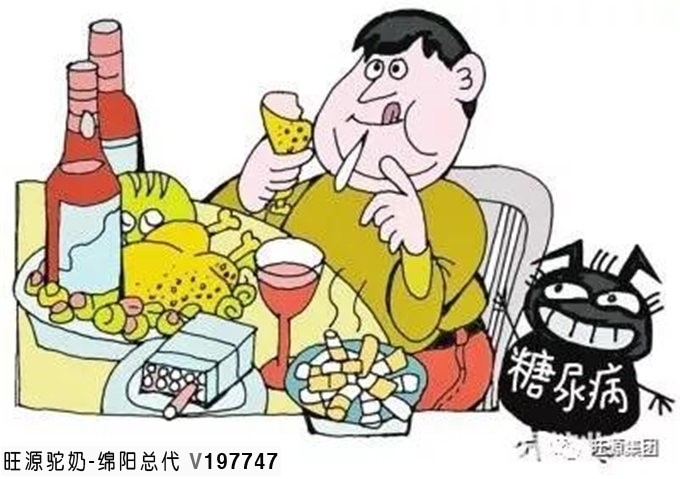 糖尿病友补钙,就选骆驼奶!