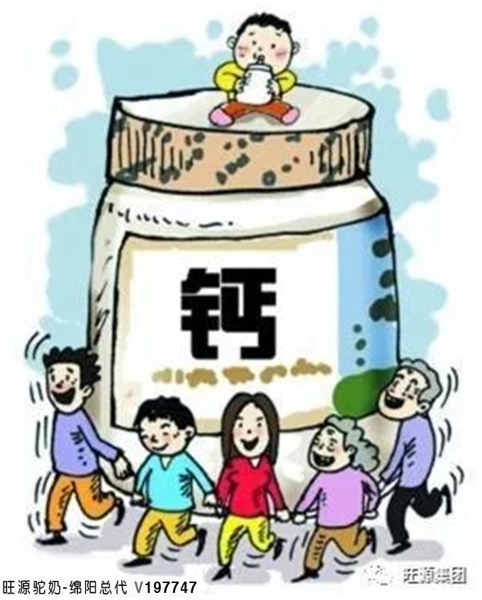 糖尿病友补钙,就选骆驼奶!