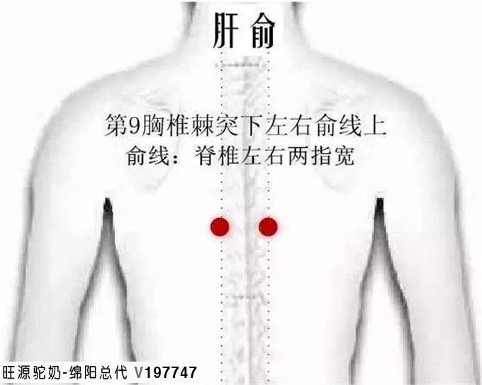 得了子宫肌瘤,为什么先治肝?