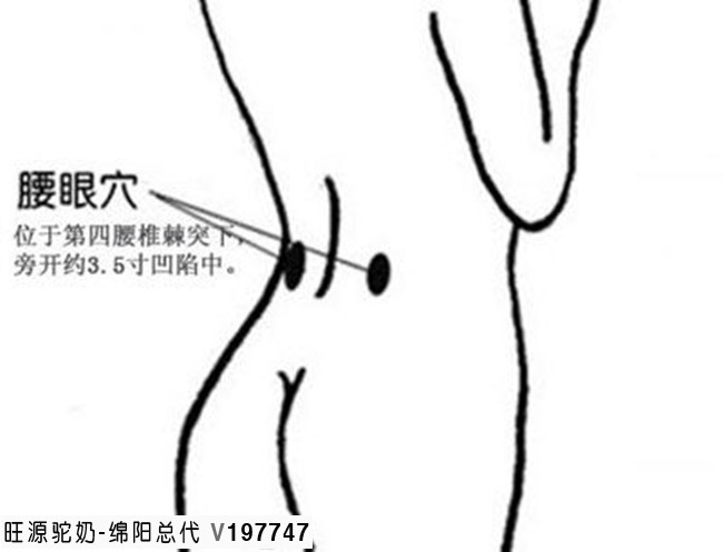 肾气足,百病除,这些方法可以补肾