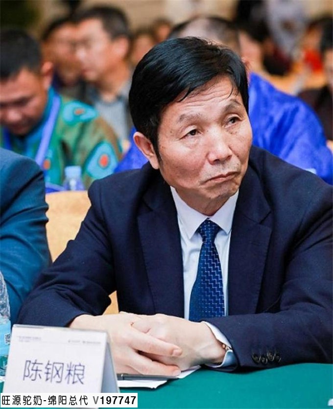 今日头条丨第六届中国骆驼产业发展大会暨首届中国骆驼文化节