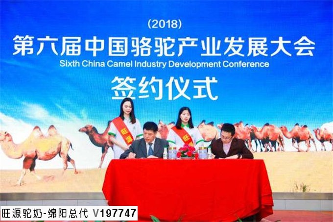 今日头条丨第六届中国骆驼产业发展大会暨首届中国骆驼文化节