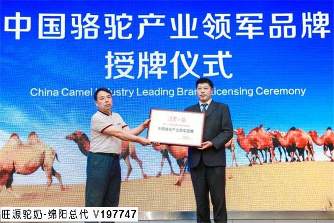 今日头条丨第六届中国骆驼产业发展大会暨首届中国骆驼文化节