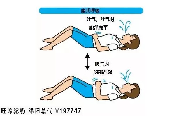 养生秘籍：呼吸入腰，百病全消！