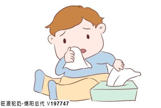 我有鼻炎，为什么我要喝骆驼奶？