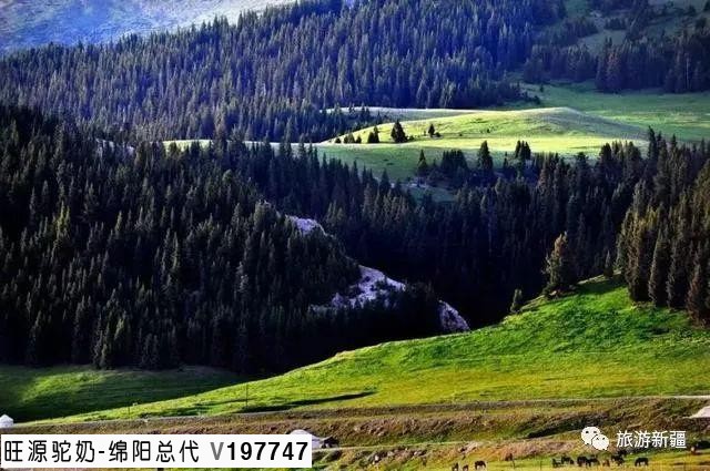 都说新疆大,到底有多大?大得你不认真都走不出新疆