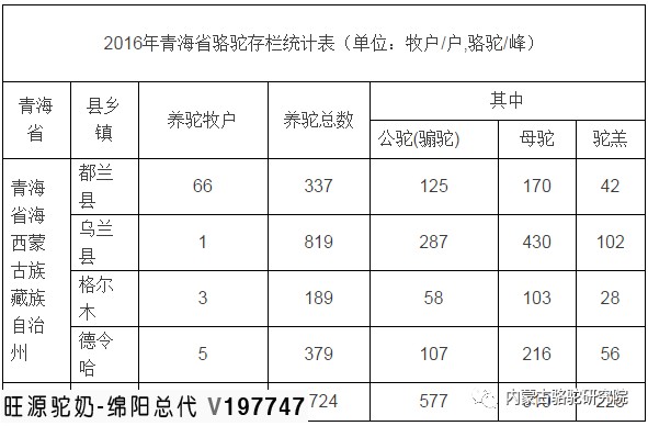 我国双峰骆驼的数量及分布地区