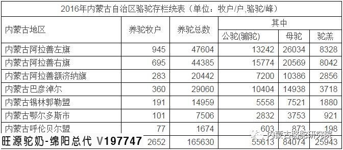 我国双峰骆驼的数量及分布地区