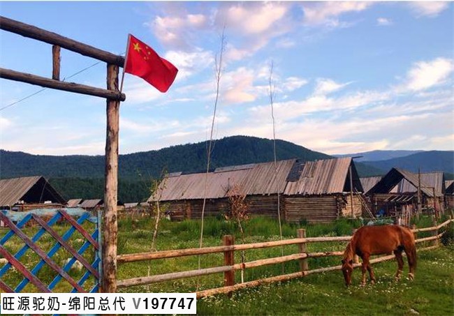 新疆为什么晚上23点吃晚饭,凌晨2点才能睡觉