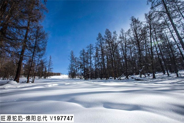 新疆阿勒泰美景----冬日里的禾木村