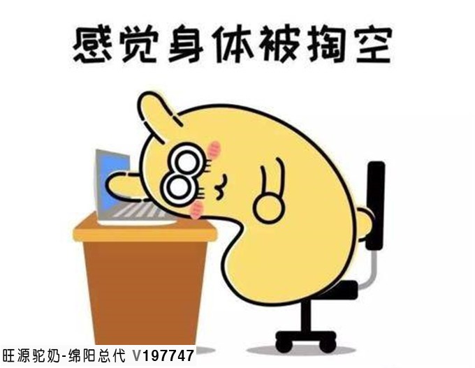 驼乳的抗疲劳作用