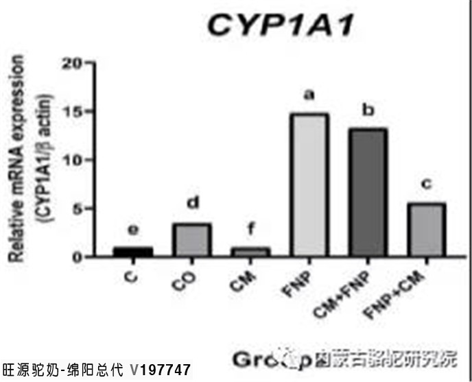 骆驼奶对甲型苯丙酸菊酯(FNP)诱导的雄性大鼠肝CYP1A1基因表达和DNA损伤的延缓作用