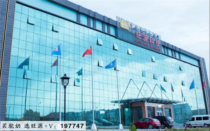 坚持打造纯驼奶产品,旺源集团是怎么做到的?