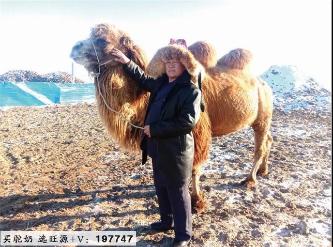 福海农业产业园的融合发展路