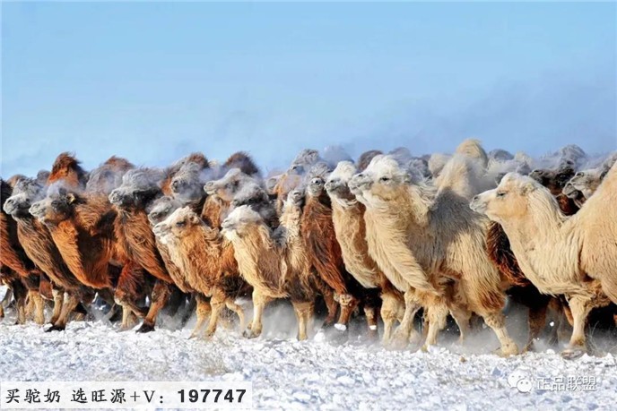 福海农业产业园的融合发展路