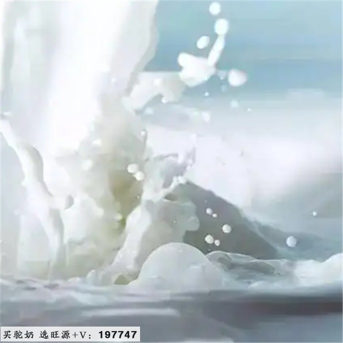 健身,营养是关键!给你推荐旺源减脂高蛋白纯驼乳粉
