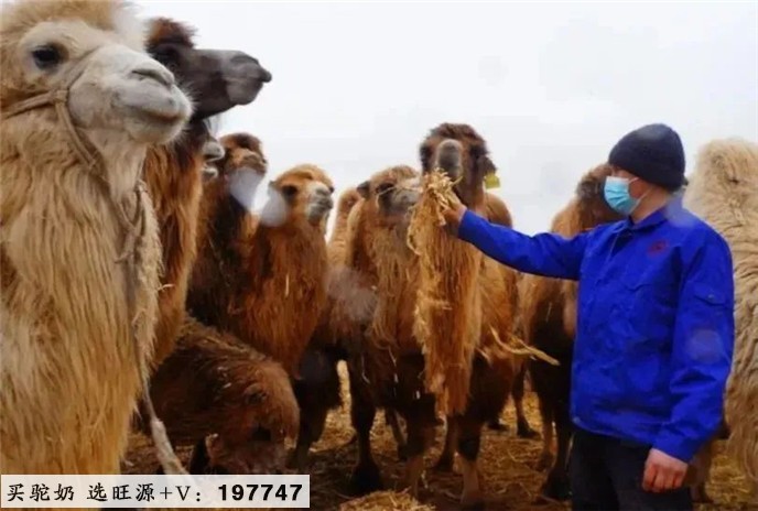 恭贺旺源女沙夏欣怡/林美媚组合,赢得沙排世界大赛冠军!
