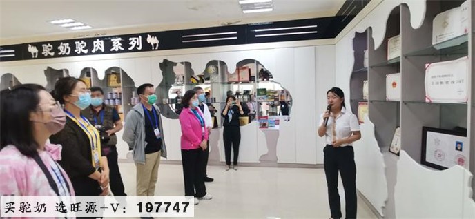华人号:走进新疆旺源生物科技集团了解驼奶产业发展销售战略现状与未来—“追梦中华大美新疆”海外华文媒体采访见闻