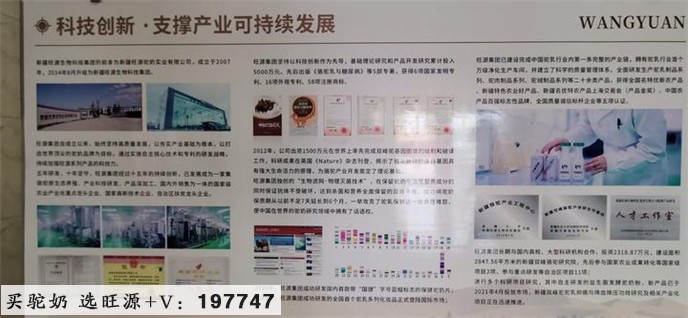 华人号:走进新疆旺源生物科技集团了解驼奶产业发展销售战略现状与未来—“追梦中华大美新疆”海外华文媒体采访见闻