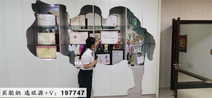 华人号:走进新疆旺源生物科技集团了解驼奶产业发展销售战略现状与未来—“追梦中华大美新疆”海外华文媒体采访见闻