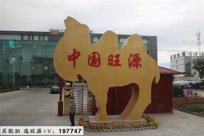 华人号:走进新疆旺源生物科技集团了解驼奶产业发展销售战略现状与未来—“追梦中华大美新疆”海外华文媒体采访见闻