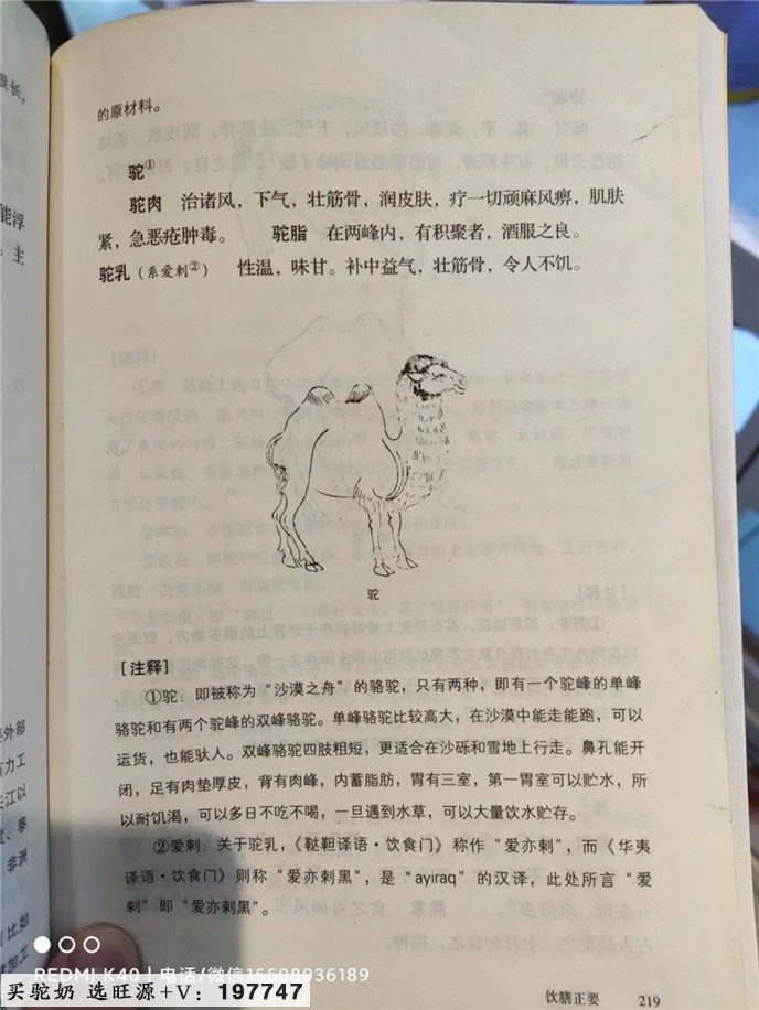 说说我一年长高14厘米的秘密